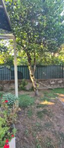 NUOVO INCARICO IN ESCLUSIVA: SARNO - LAVORATE Splendida Casa Indipendente con Ampio Giardino Privato